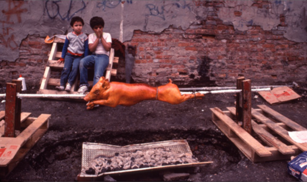 Bacalaitos and & Fireworks